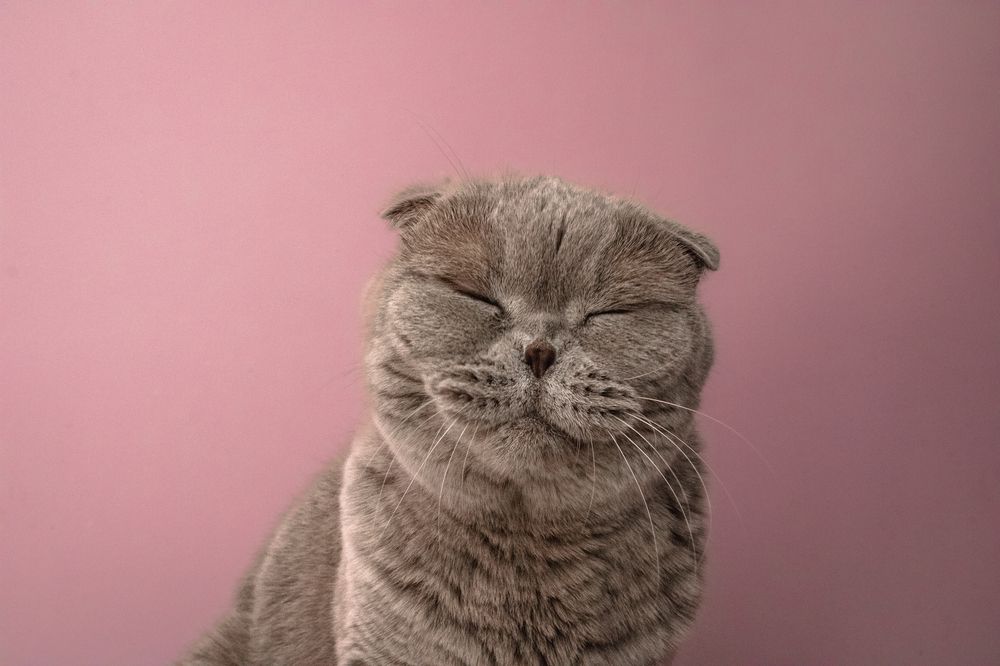 Photograph by Olya Donskaya