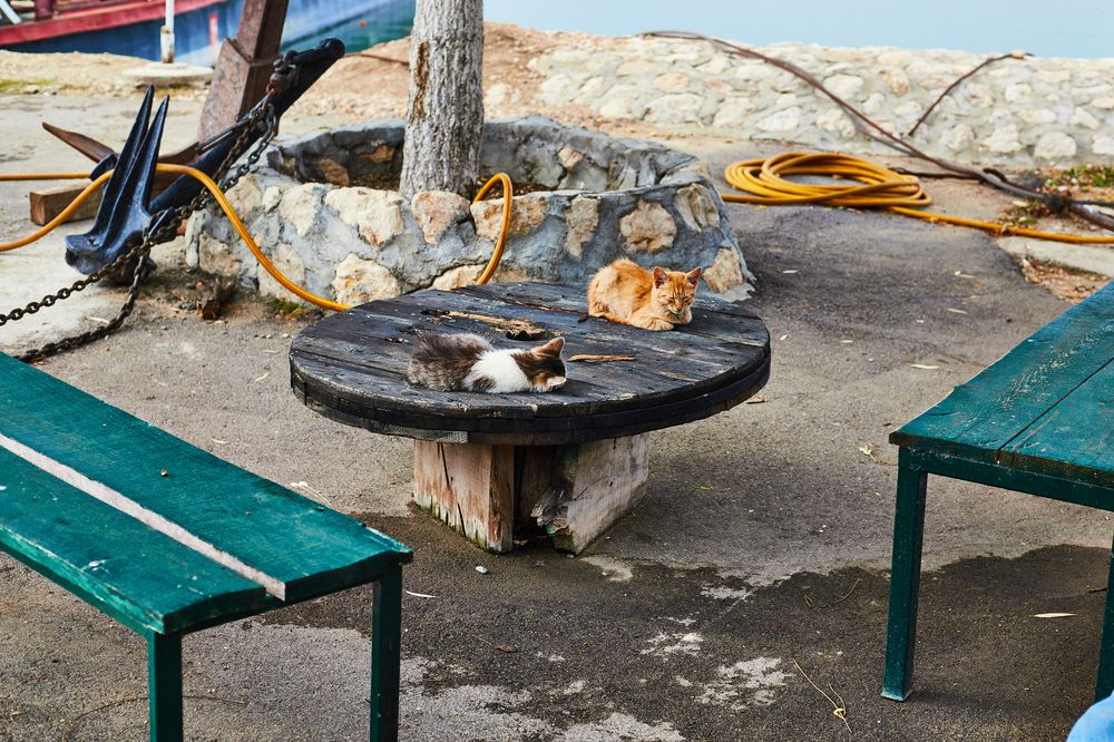 Photograph by Анастасия Васина