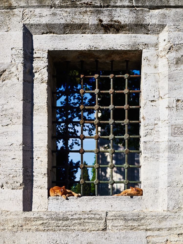 Photograph by Анастасия Васина