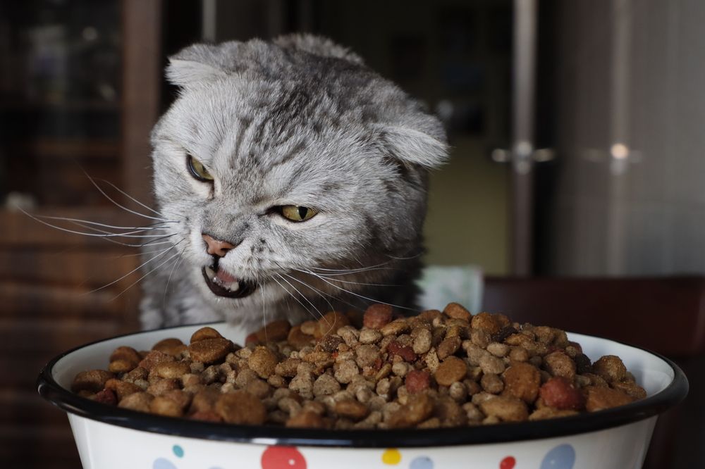 Photograph by Natalya Kozina