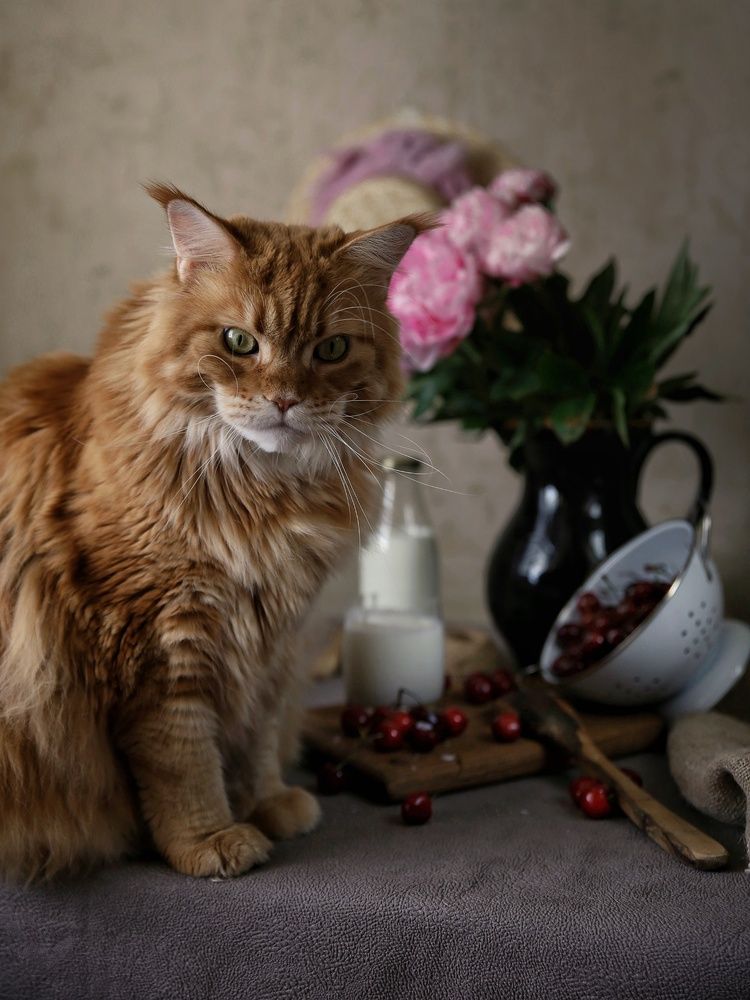 Photograph by Angelica Medvedeva