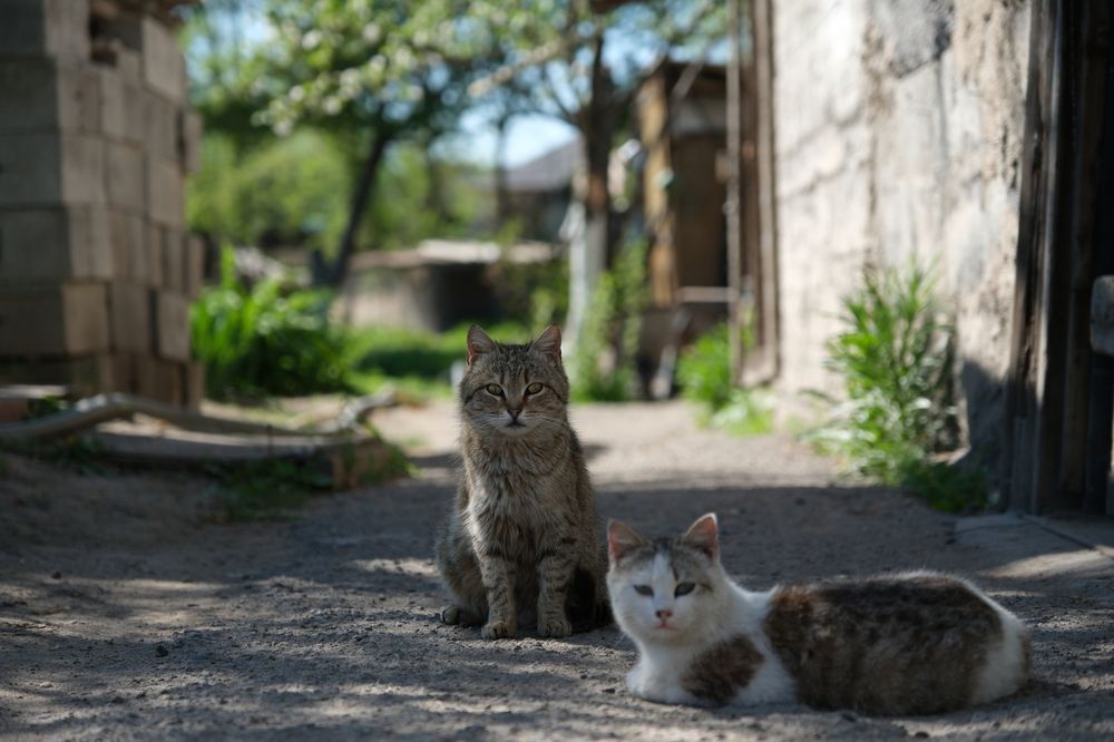 Photograph by Natalya Kozina