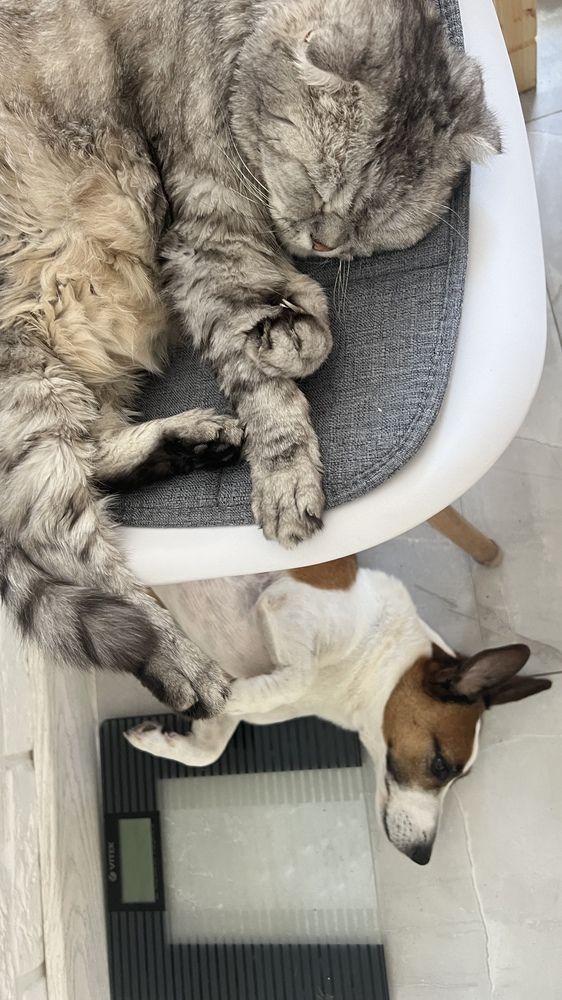 Photograph by Natalya Kozina