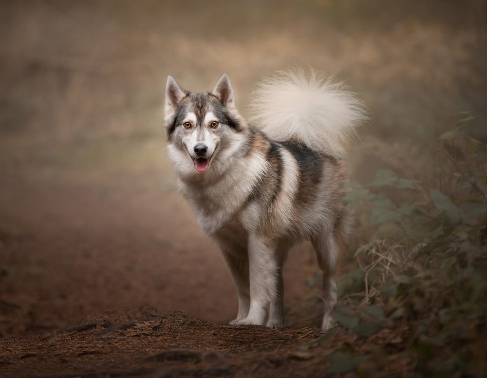 Photograph by Annemarie Visser