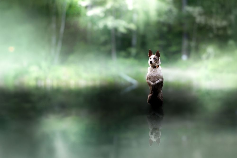 Photograph by Mateusz