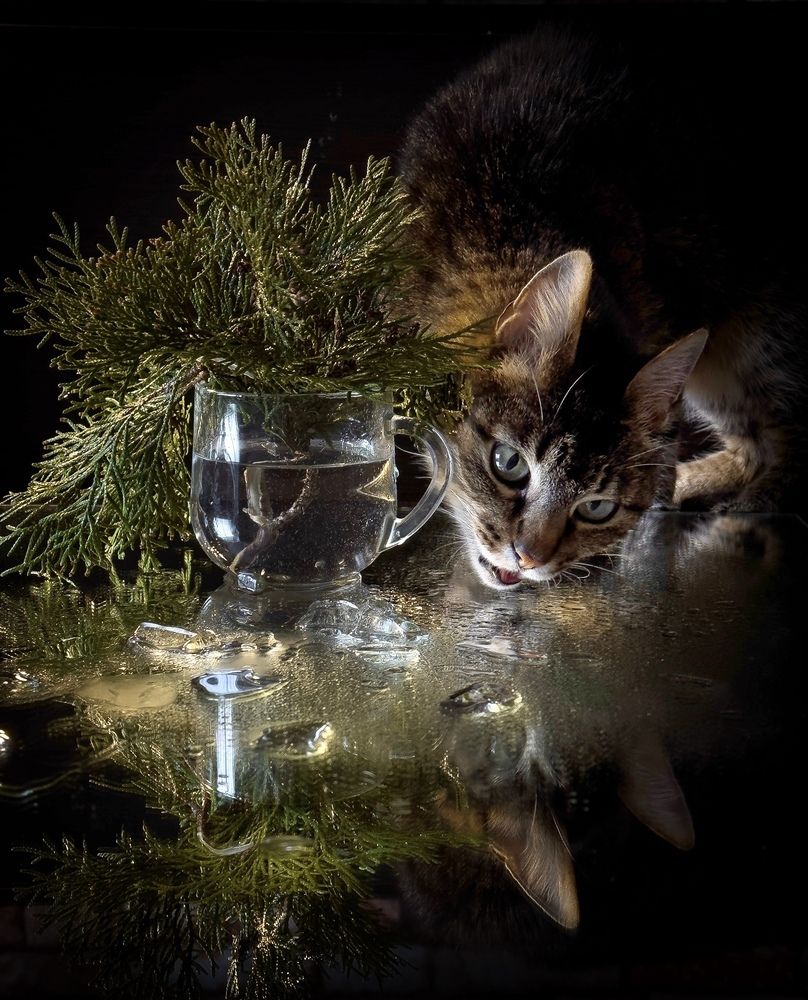 Photograph by Ксения Гуляева