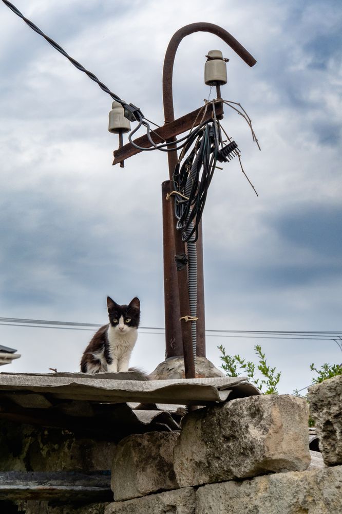 Photograph by Адиля Голубева