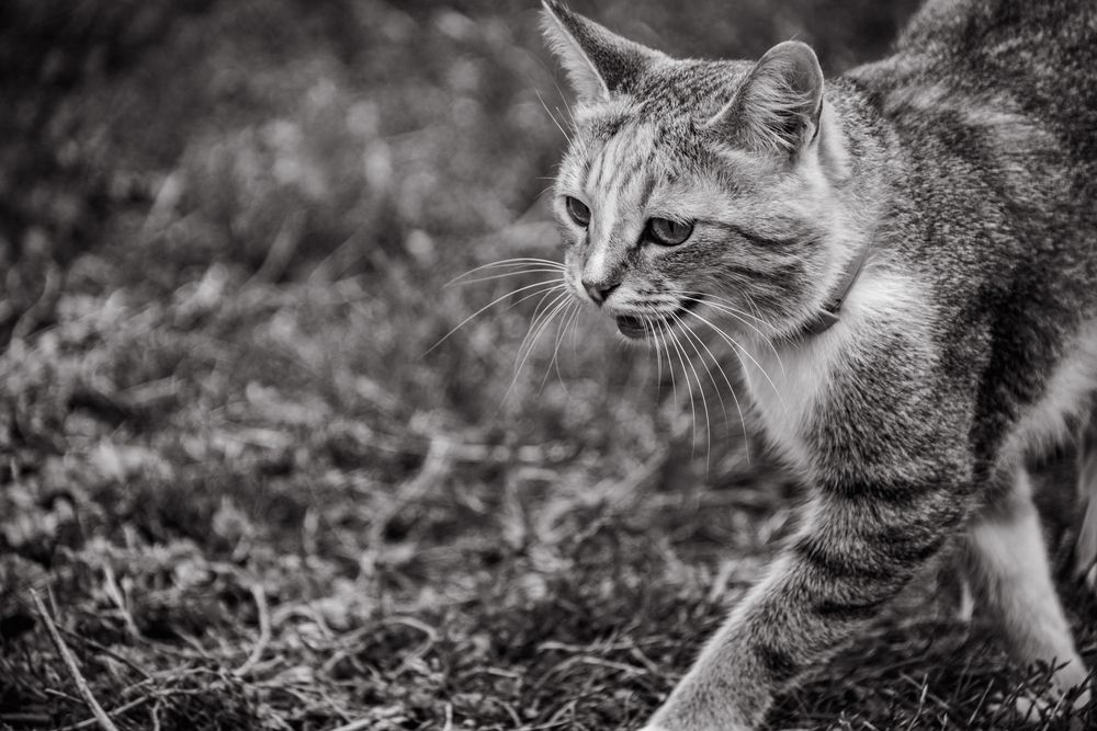 Photograph by Адиля Голубева