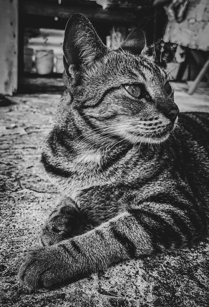 Фотография автора Kaveesha Rashmina