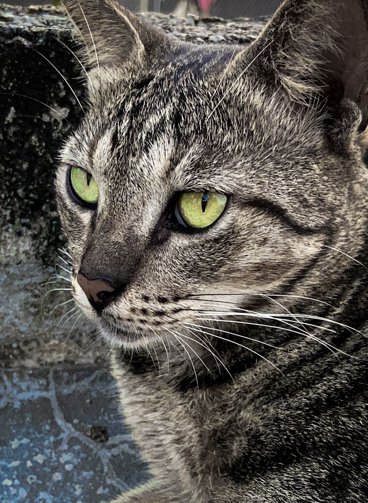 Фотография автора Kaveesha Rashmina