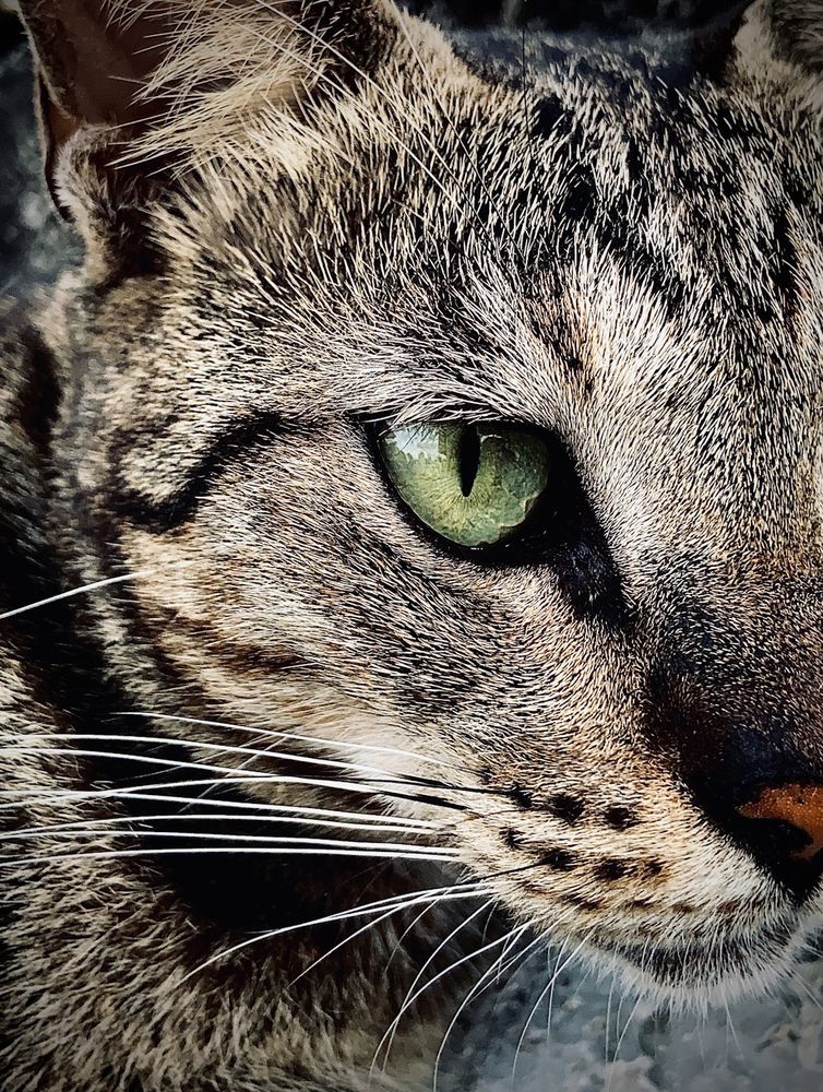 Фотография автора Kaveesha Rashmina