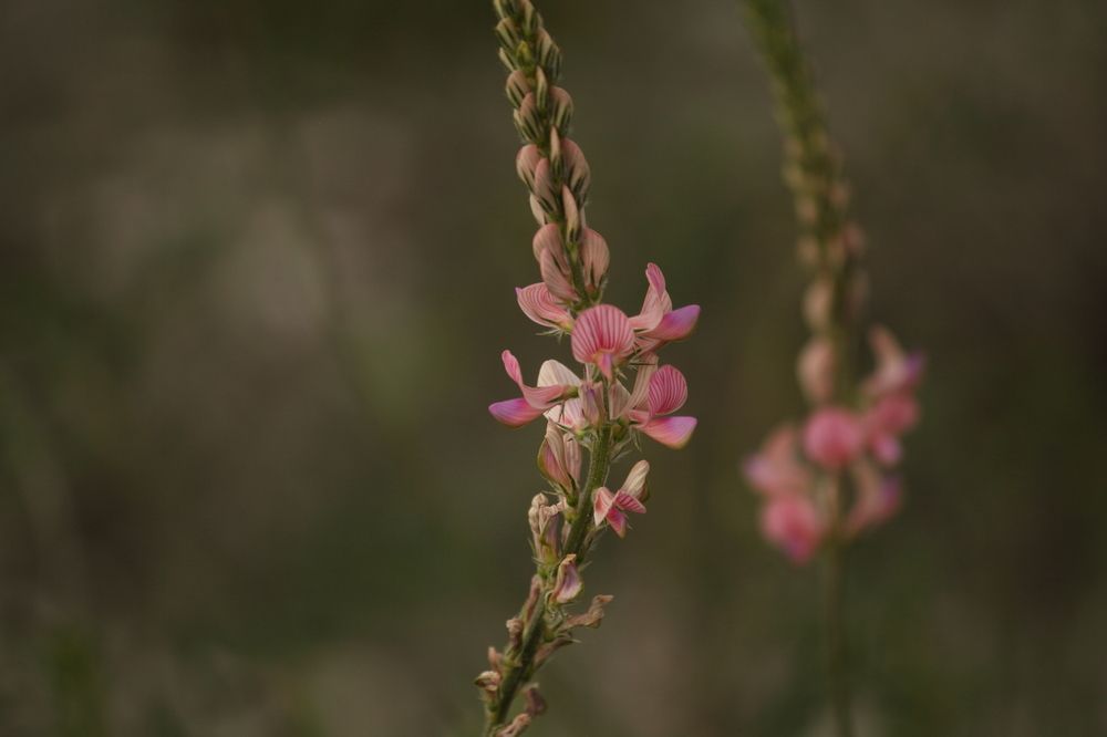Photograph by Оксана Малахова