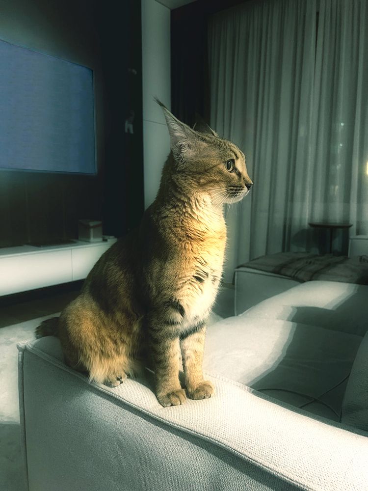 Photograph by Феофанов Николай