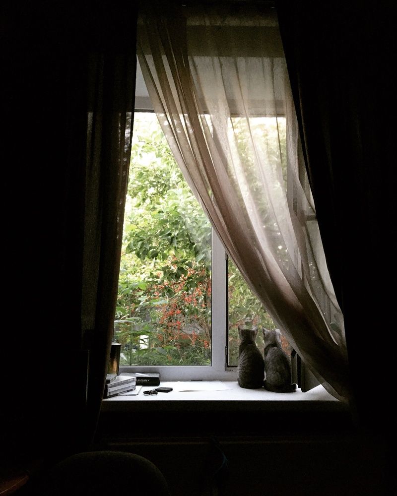 Photograph by White Helena