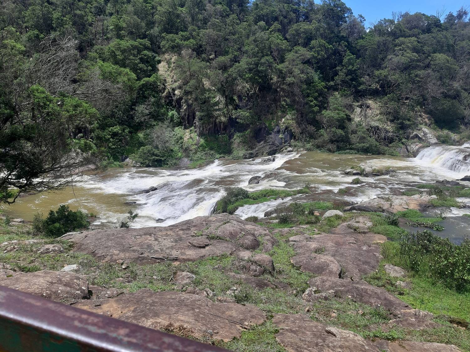 Photo #12244897