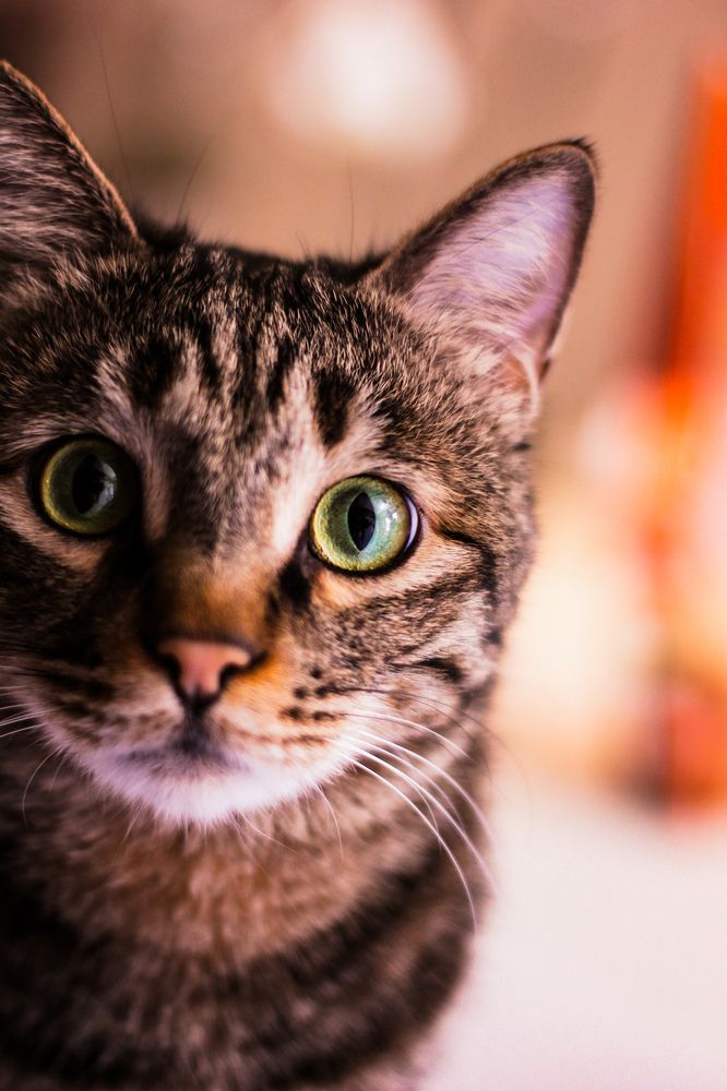 Photograph by Elham Bahrami