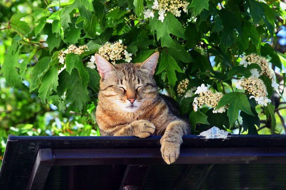 Photograph by Владимир Юрьевич