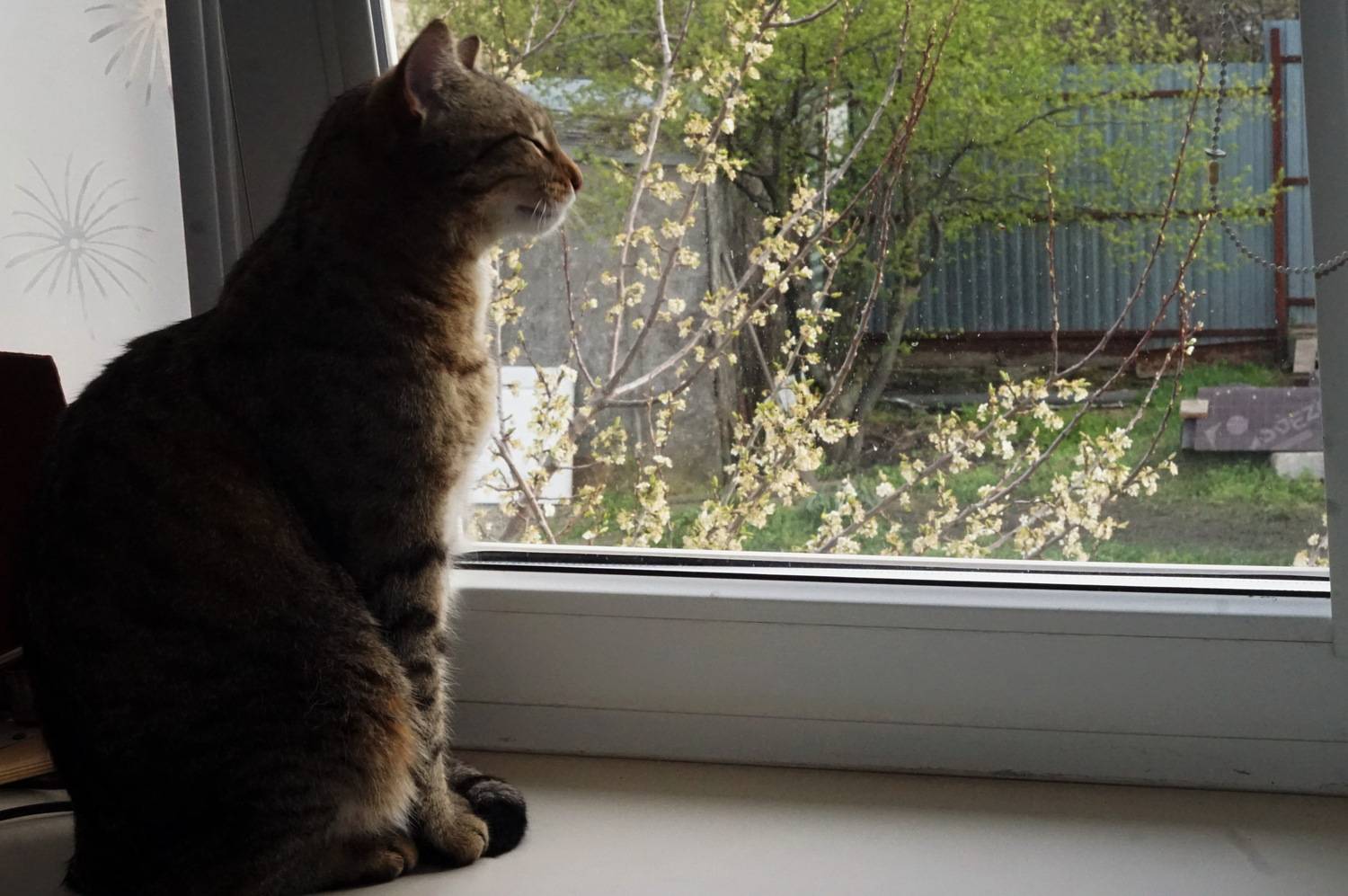 Photo #12244921
