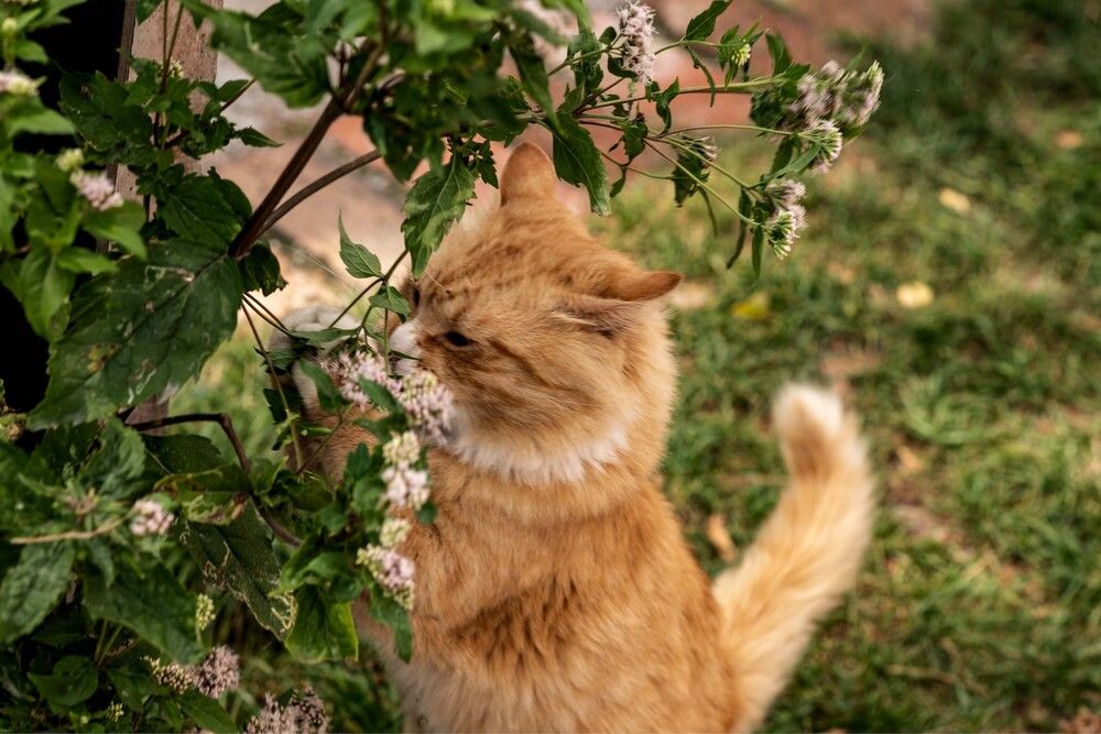 Photograph by Olga Smirnova