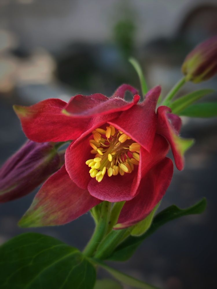 Сокровенное