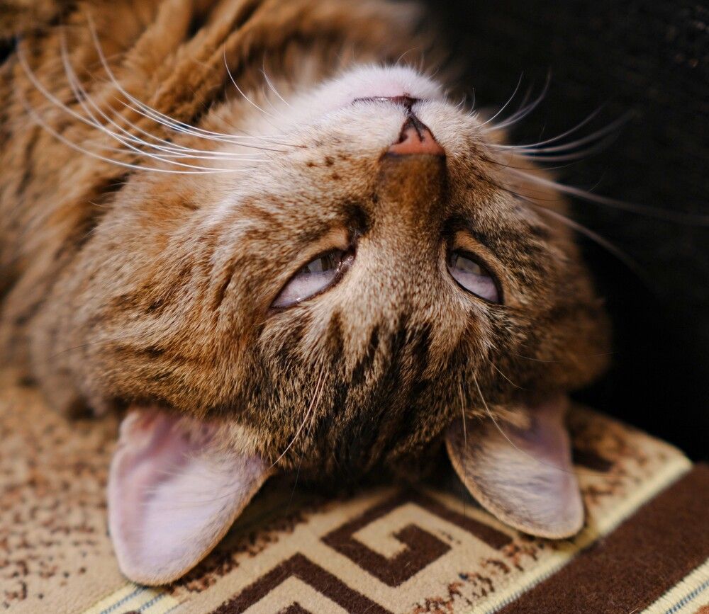 Photograph by Михаил Косолапов