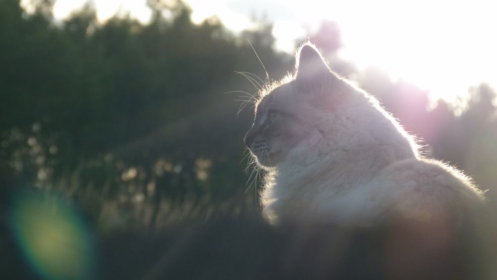 Photograph by Егор Чинарев