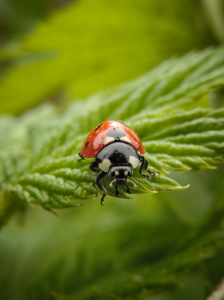 Photograph by Игорь Сухаревич