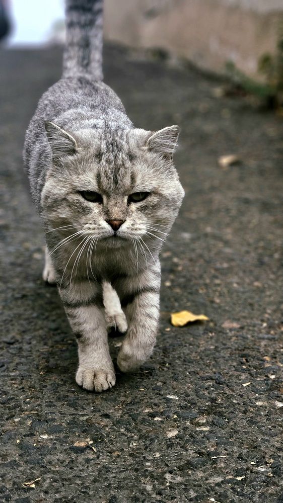 Photograph by Наталья Анисимова