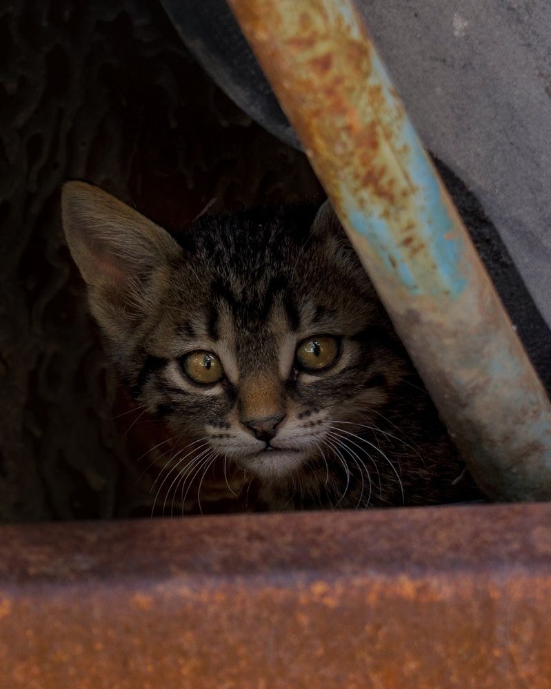 Photograph by zahra salardini