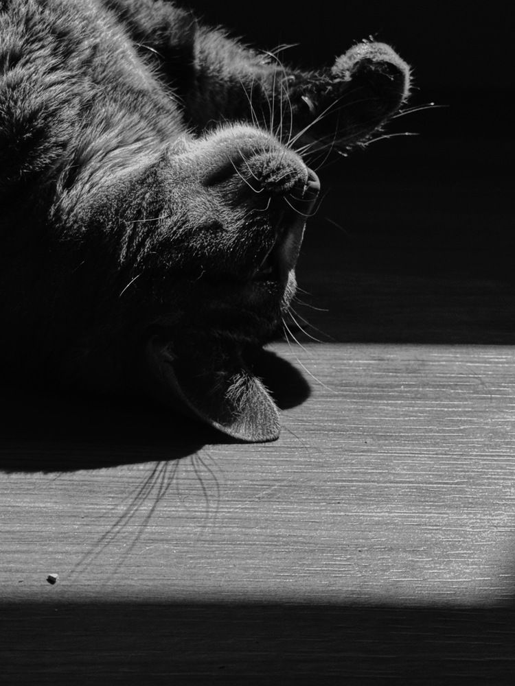 Photograph by Алёна Яцкевич