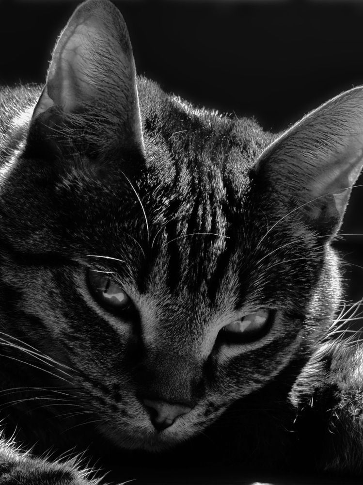 Photograph by Алёна Яцкевич