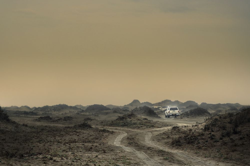 Photograph by Szymon Brola