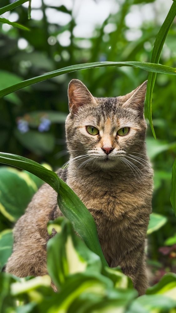 Photograph by Дмитрий Голубев