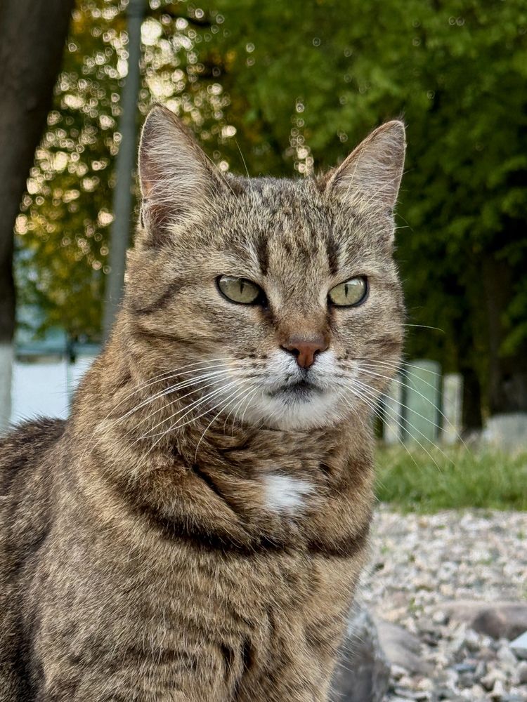 Photograph by Дмитрий Голубев