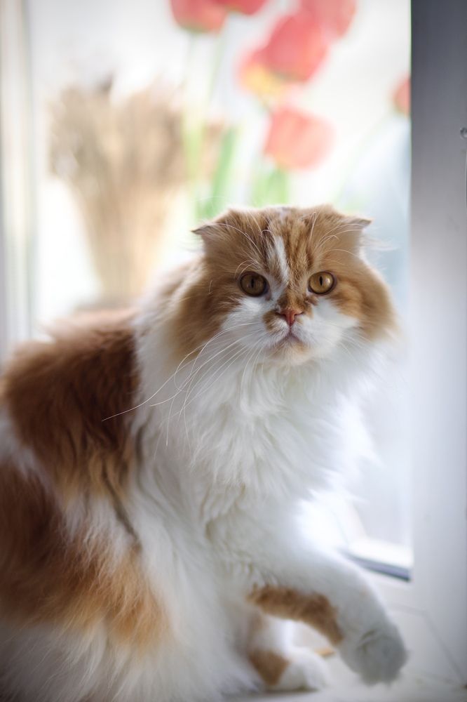 Photograph by Ольга Веретенникова