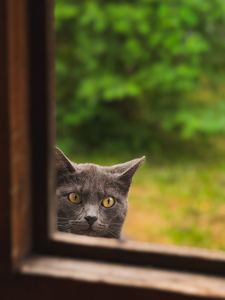 Photograph by Дмитрий Голубев