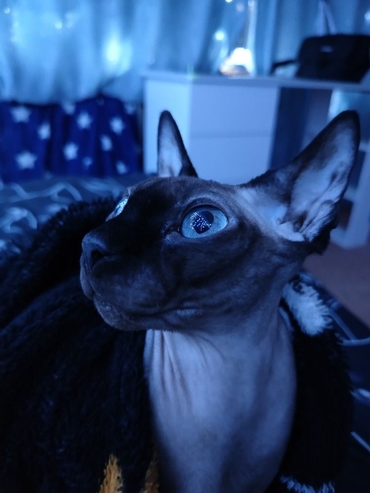 Photograph by Екатерина Познякова