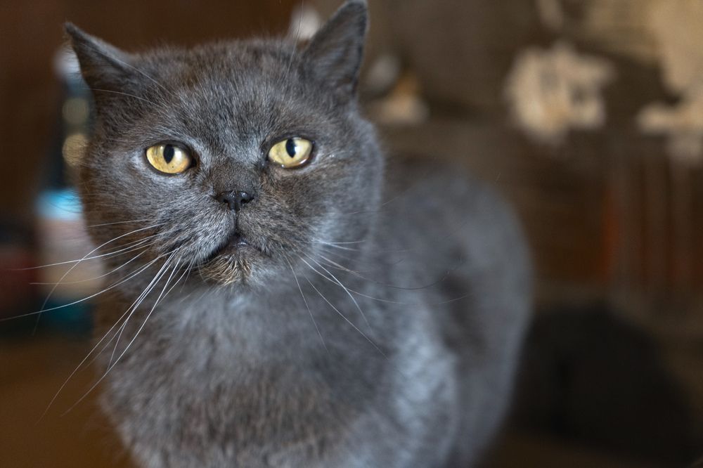 Photograph by Марина Вильдяева