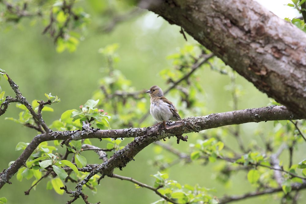 Photograph by Александра Серафимова