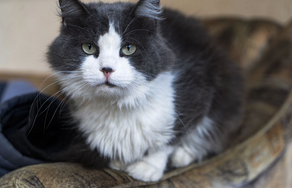 Photograph by Марина Вильдяева