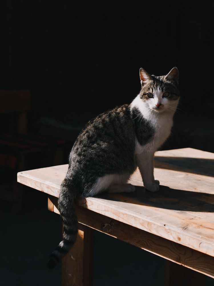 Photograph by Ксения Лаевская