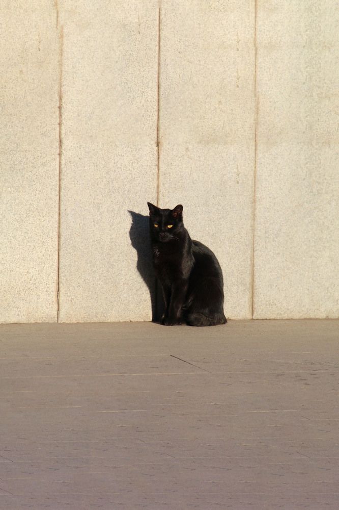 Photograph by Хайбуллина Флора