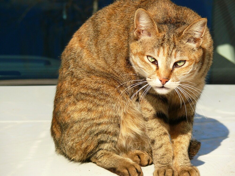 С добрым утром.