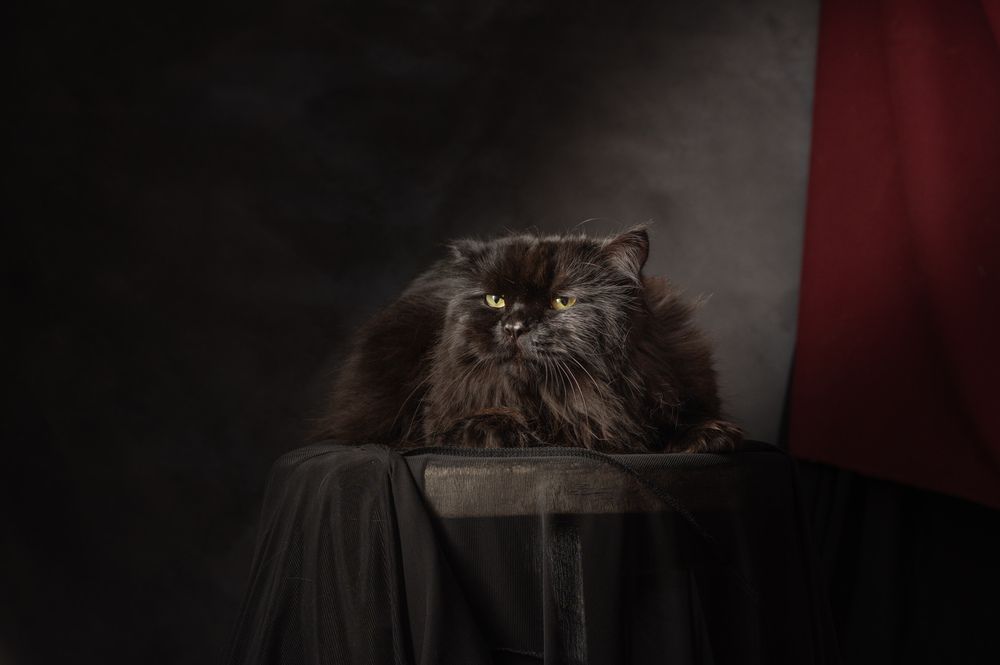 Photograph by Сергей Лексин