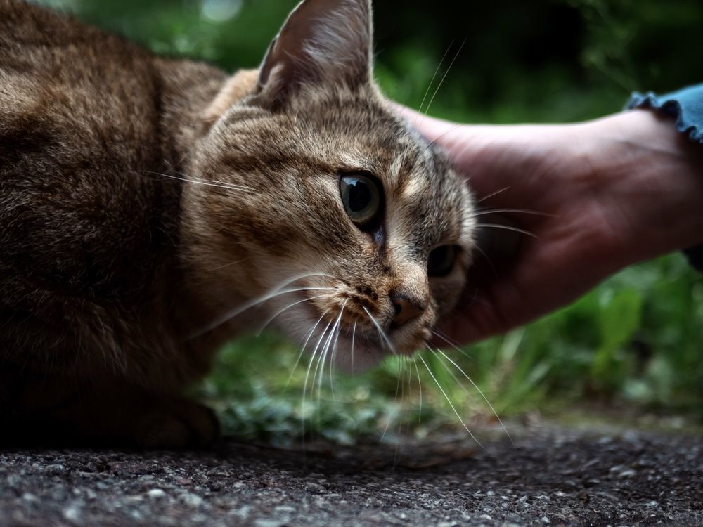 Photograph by Роман Суковач