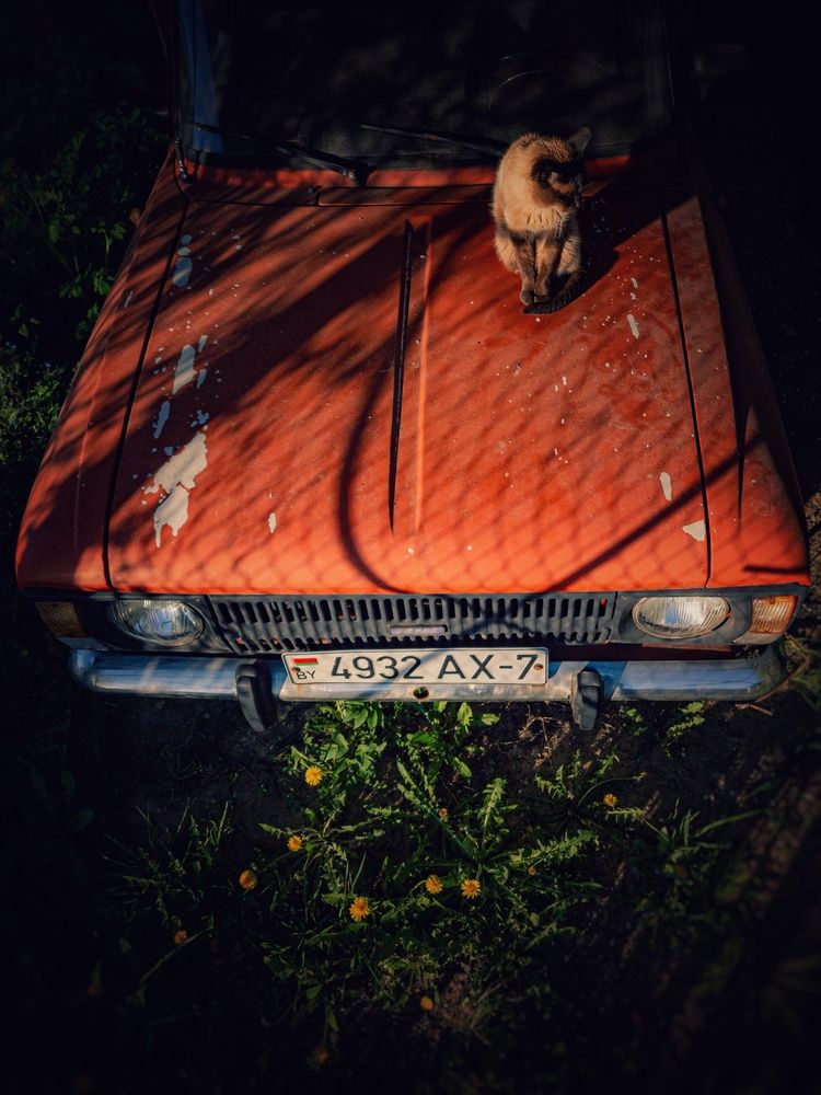 Photograph by Алина