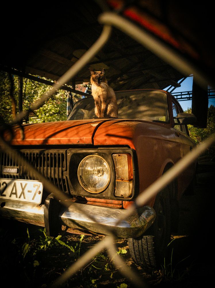 Photograph by Алина