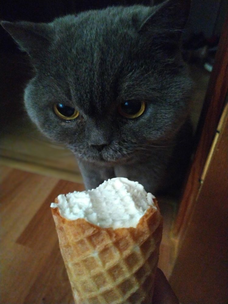 Photograph by Ирина К.