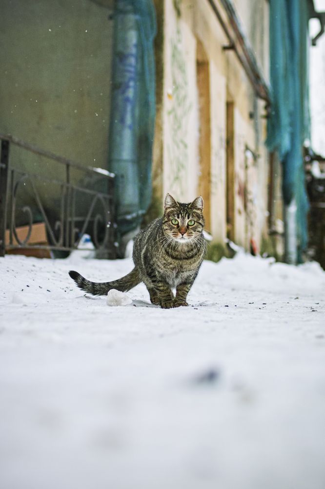 Photo #12245310