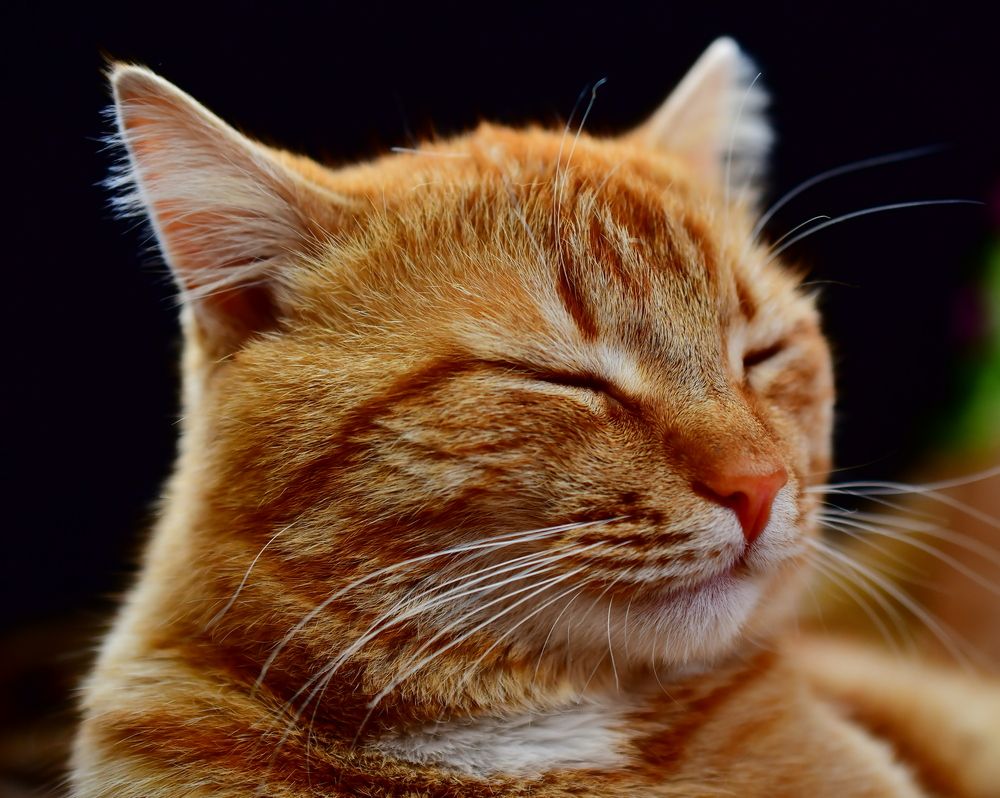 Photograph by Николай Абакумов